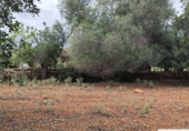 Terreno no urbanizable en venta en la España, Capdepera, ref: TR131225 foto