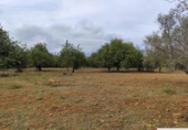 Terreno no urbanizable en venta en la España, Capdepera, ref: TR131225 foto