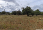 Terreno no urbanizable en venta en la España, Capdepera, ref: TR131225 foto