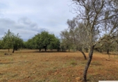 Terreno no urbanizable en venta en la España, Capdepera, ref: TR131225 foto