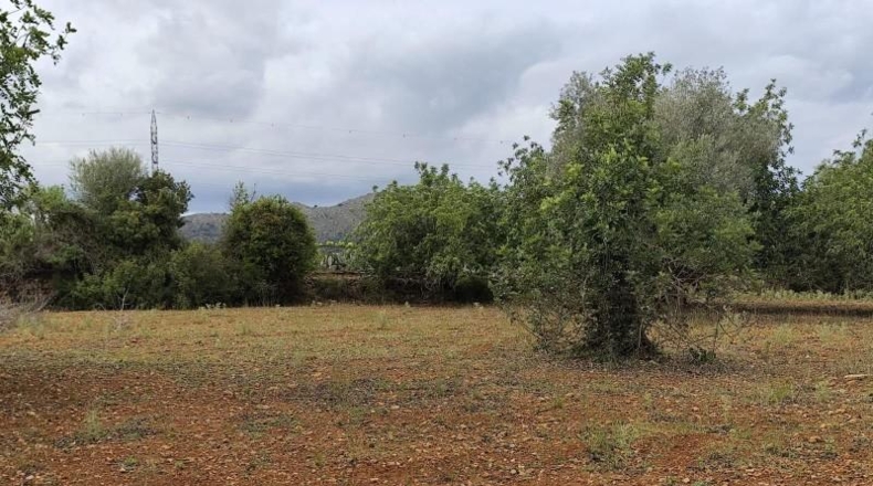 Balearic Islands - Capdepera - 14000m2