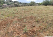 Terreno no urbanizable en venta en la España, Capdepera, ref: TR131225 foto
