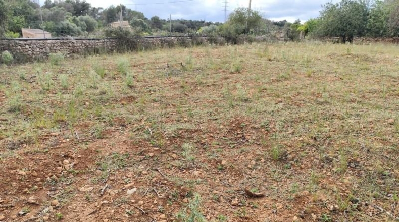 Balearic Islands - Capdepera - 14000m2