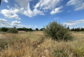Santa Maria del Camí 2571&nbsp;m²
