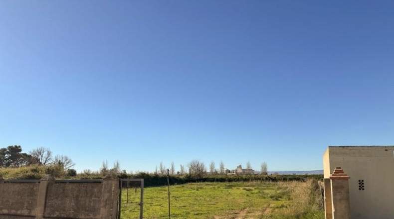 Valencia - Albalat de la Ribera - 2m2