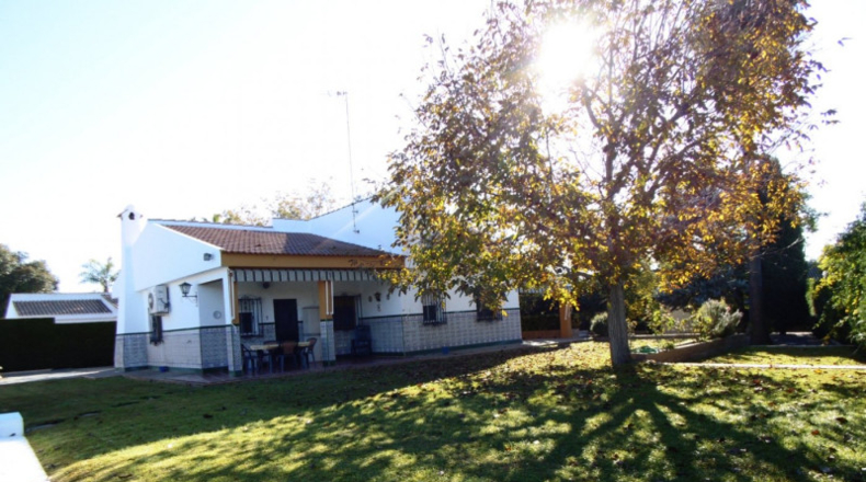 Sevilla - Umbrete - 1350m2