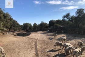 Torreorgaz 50000&nbsp;m²