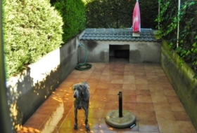 Foto 12