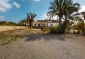 Chalet independiente con terreno en venta en la España, Albatera, ref: TR396453 foto