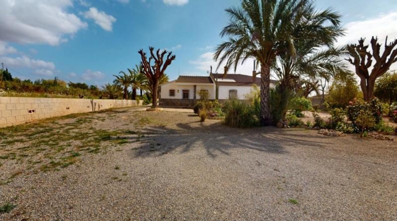 Alicante - Albatera - 250m2