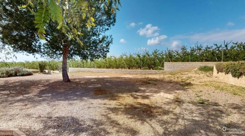 Alicante - Albatera - 250m2