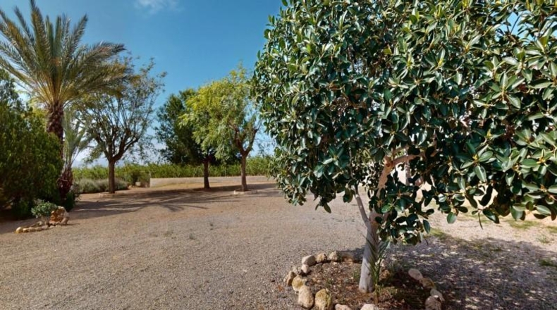 Alicante - Albatera - 250m2