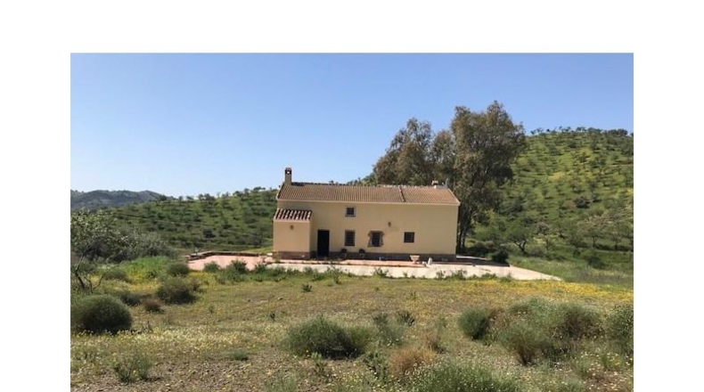 Málaga - Casabermeja - 100000m2