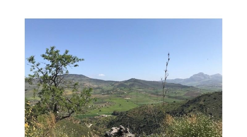 Málaga - Casabermeja - 100000m2