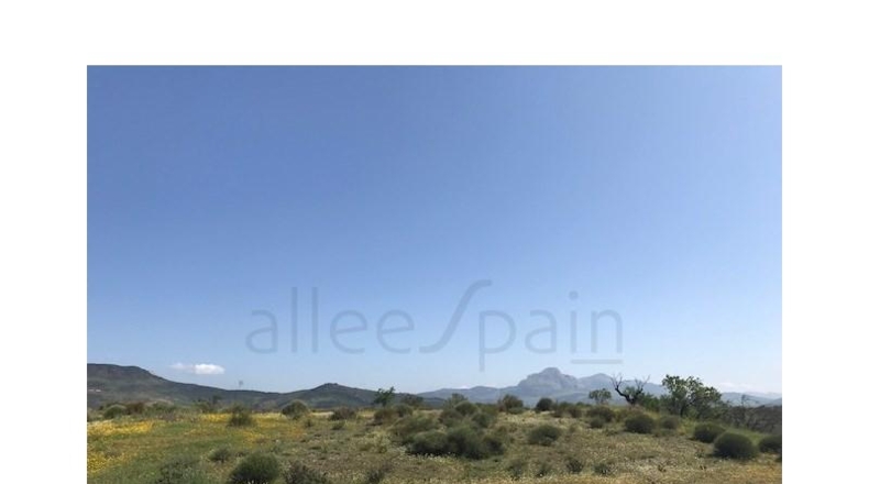 Málaga - Casabermeja - 100000m2