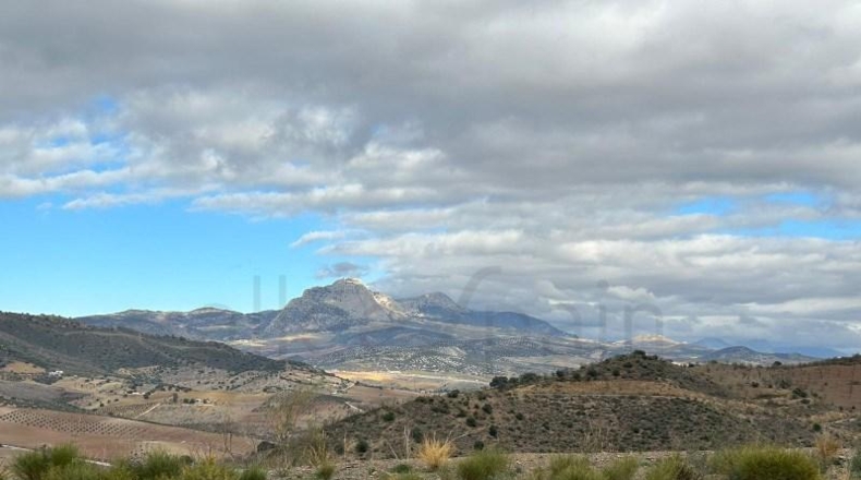 Málaga - Casabermeja - 100000m2