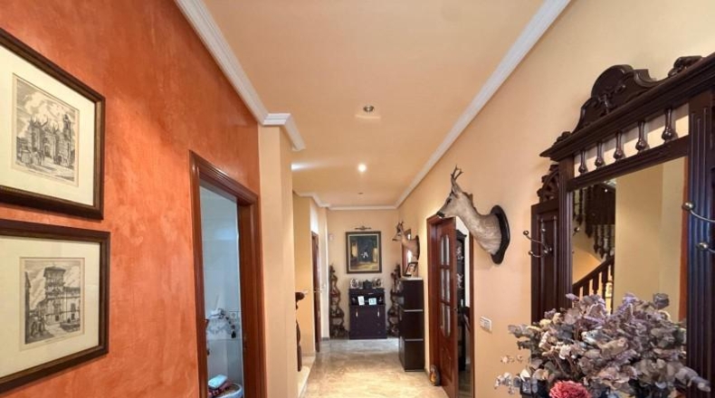 Малага - Antequera - 305m2