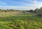 Non-developable land for sale on España, Cala Santanyí, ref: TR374398 photo