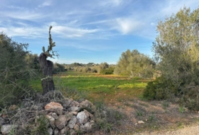 Cala Santanyí 18000&nbsp;m²