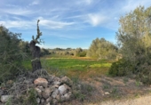 Non-developable land for sale on España, Cala Santanyí, ref: TR374398 photo