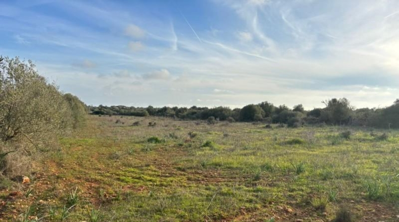 Illes Balears - Santañy - 18000m2