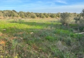 Non-developable land for sale on España, Cala Santanyí, ref: TR374398 photo