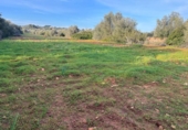 Non-developable land for sale on España, Cala Santanyí, ref: TR374398 photo
