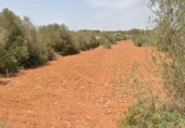 Non-developable land for sale on España, Cala Santanyí, ref: TR374398 photo