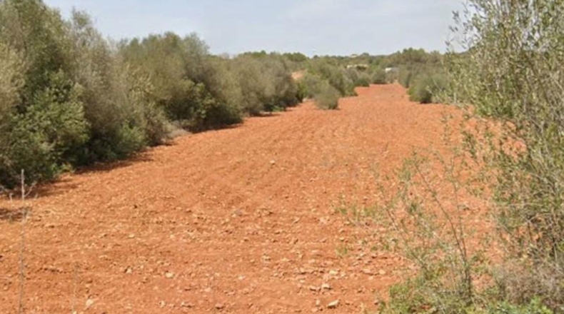 Illes Balears - Santañy - 18000m2