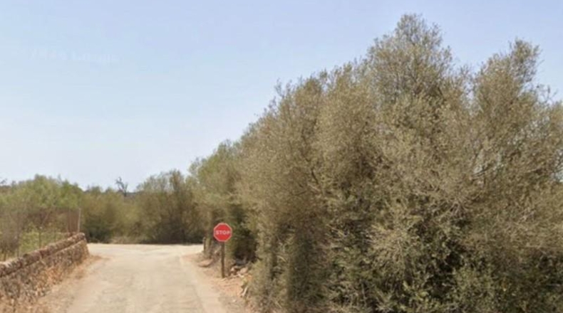 Illes Balears - Santañy - 18000m2