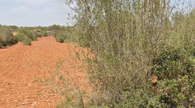 Illes Balears - Santañy - 18000m2