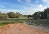 Non-developable land for sale on España, Cala Santanyí, ref: TR374398 photo