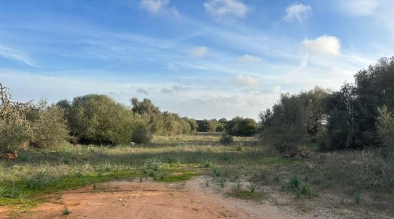 Illes Balears - Santañy - 18000m2