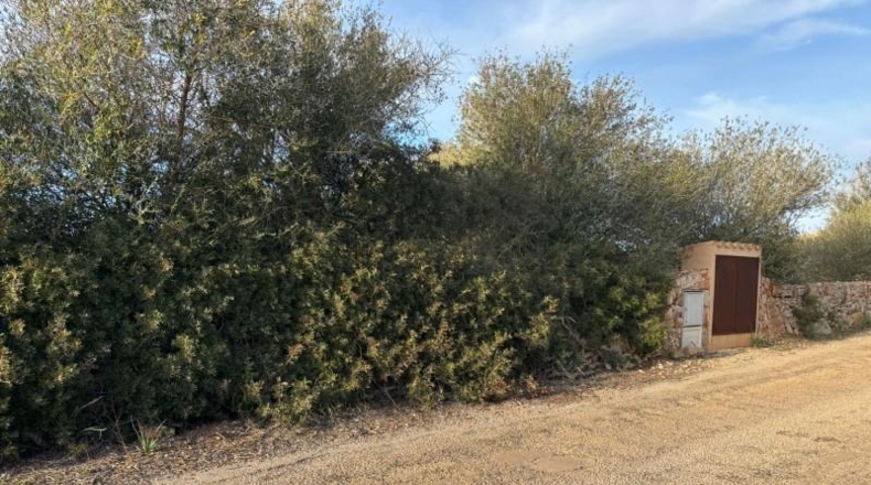 Illes Balears - Santañy - 18000m2