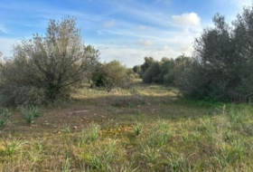 Cala Santanyí 18000&nbsp;m²