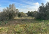 Non-developable land for sale on España, Cala Santanyí, ref: TR374398 photo