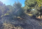 Country house with land for sale on España, Lorca, ref: TR367360 photo