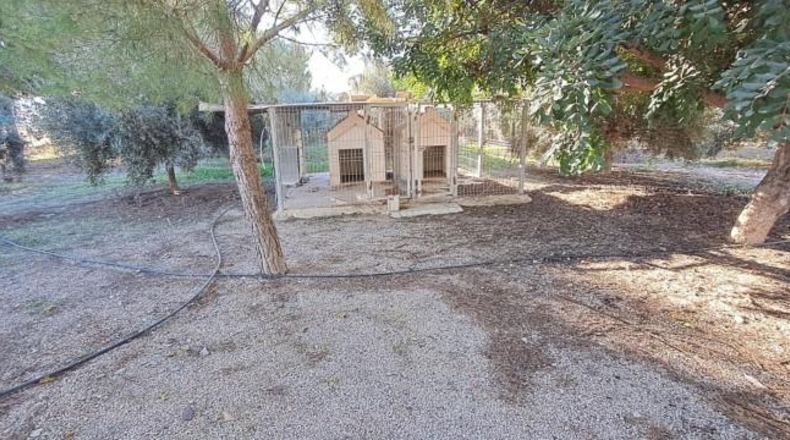 Murcia - Lorca - 5624m2