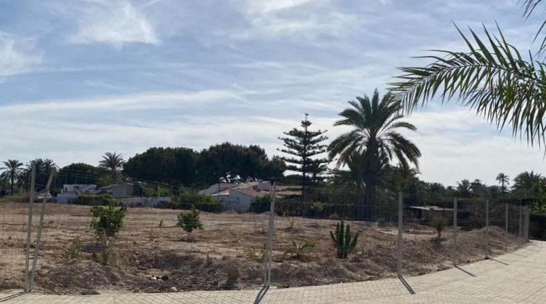 Alicante - Elche - 2000m2