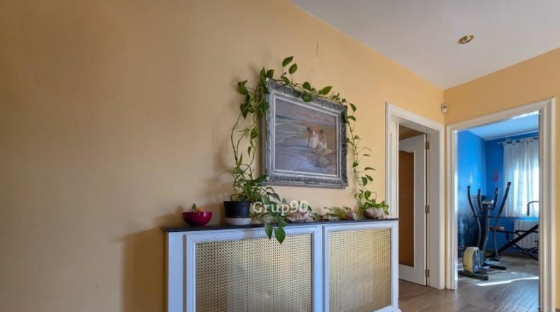 Lerida - Alpicat - 570m2