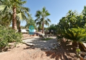 Country house with land for sale on España, Totana, ref: TR165239 photo