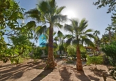 Country house with land for sale on España, Totana, ref: TR165239 photo