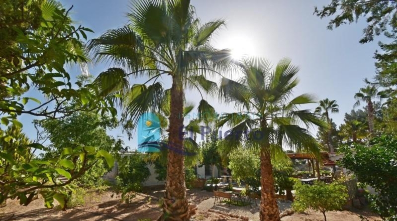 Murcia - Totana - 4670m2