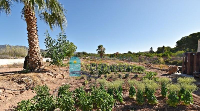 Murcia - Totana - 4670m2