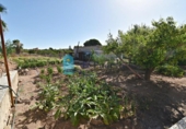 Country house with land for sale on España, Totana, ref: TR165239 photo