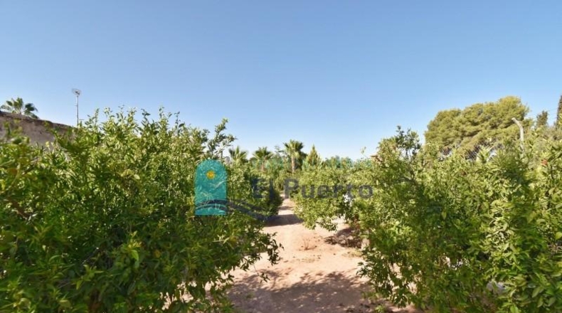 Murcia - Totana - 4670m2
