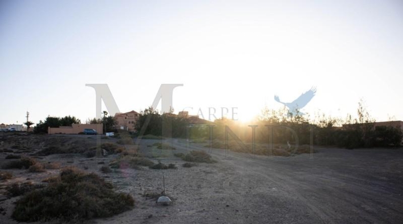 Las Palmas - Пахара - 3540m2