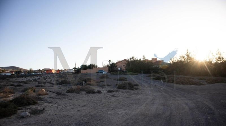Las Palmas - Пахара - 3540m2
