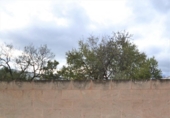 Suelo urbano en venta en la España, Muro, ref: TR120145 foto
