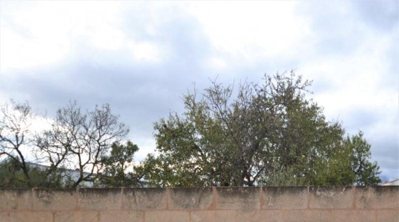 Balearic Islands - Muro - 386m2